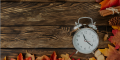 Fall Back